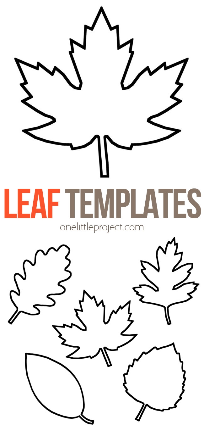 Leaf Template Free Printable Leaf Outlines One Little Project