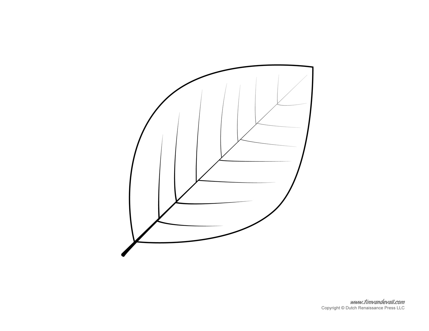 Flower Leaf Template Printable