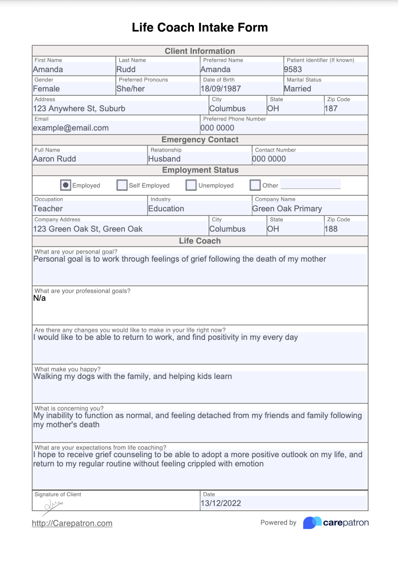 Life Coach Intake Form Template Free PDF Download