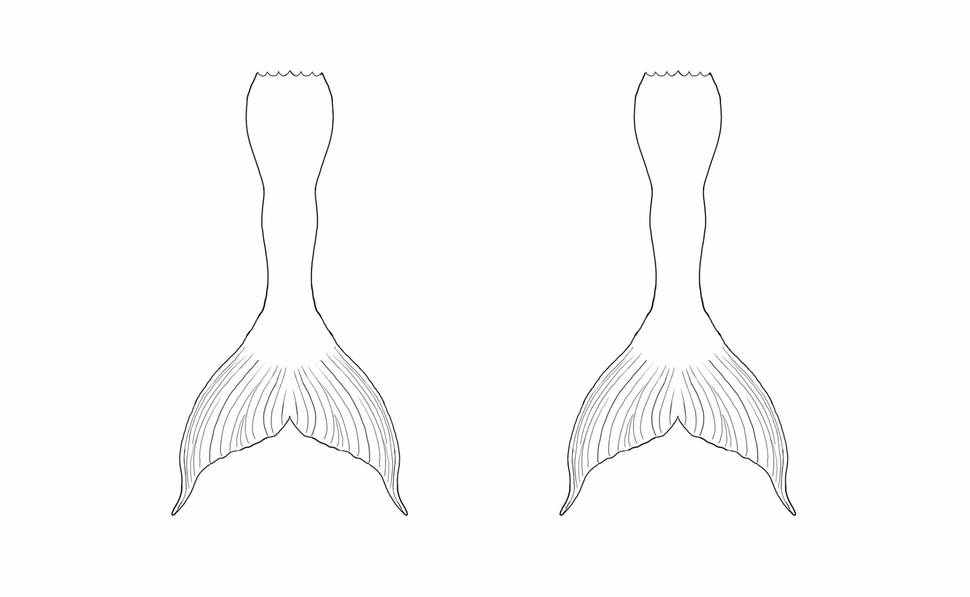 Printable Mermaid Tail Template