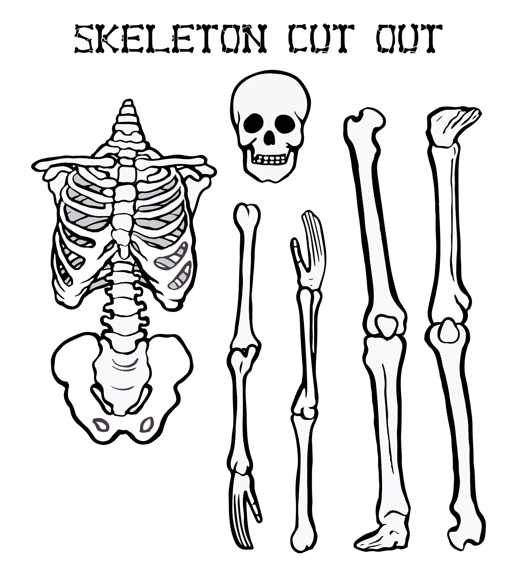 Cut Out Printable Skeleton Bones Template