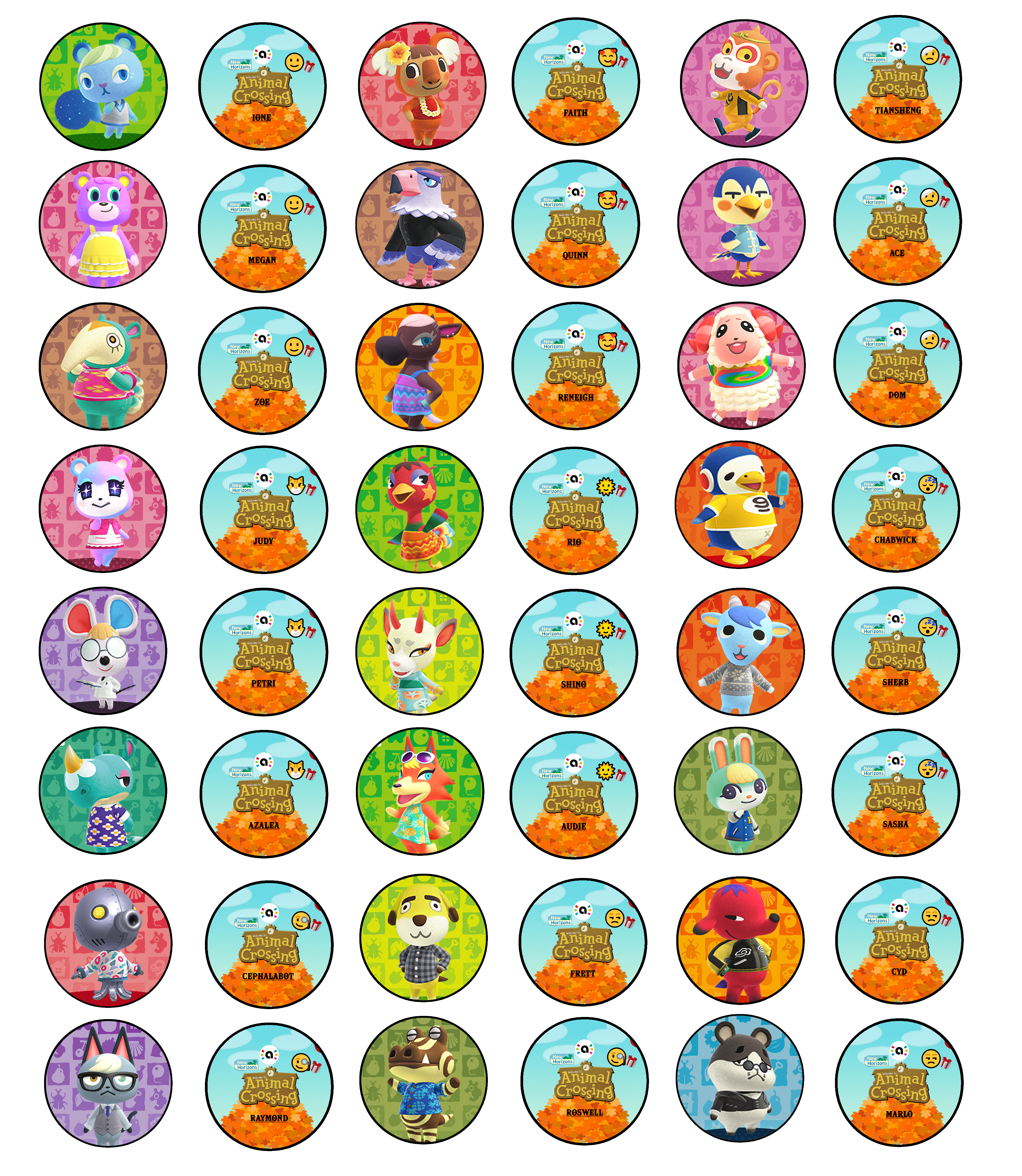 My New Villager Coin Template R Amiibomb