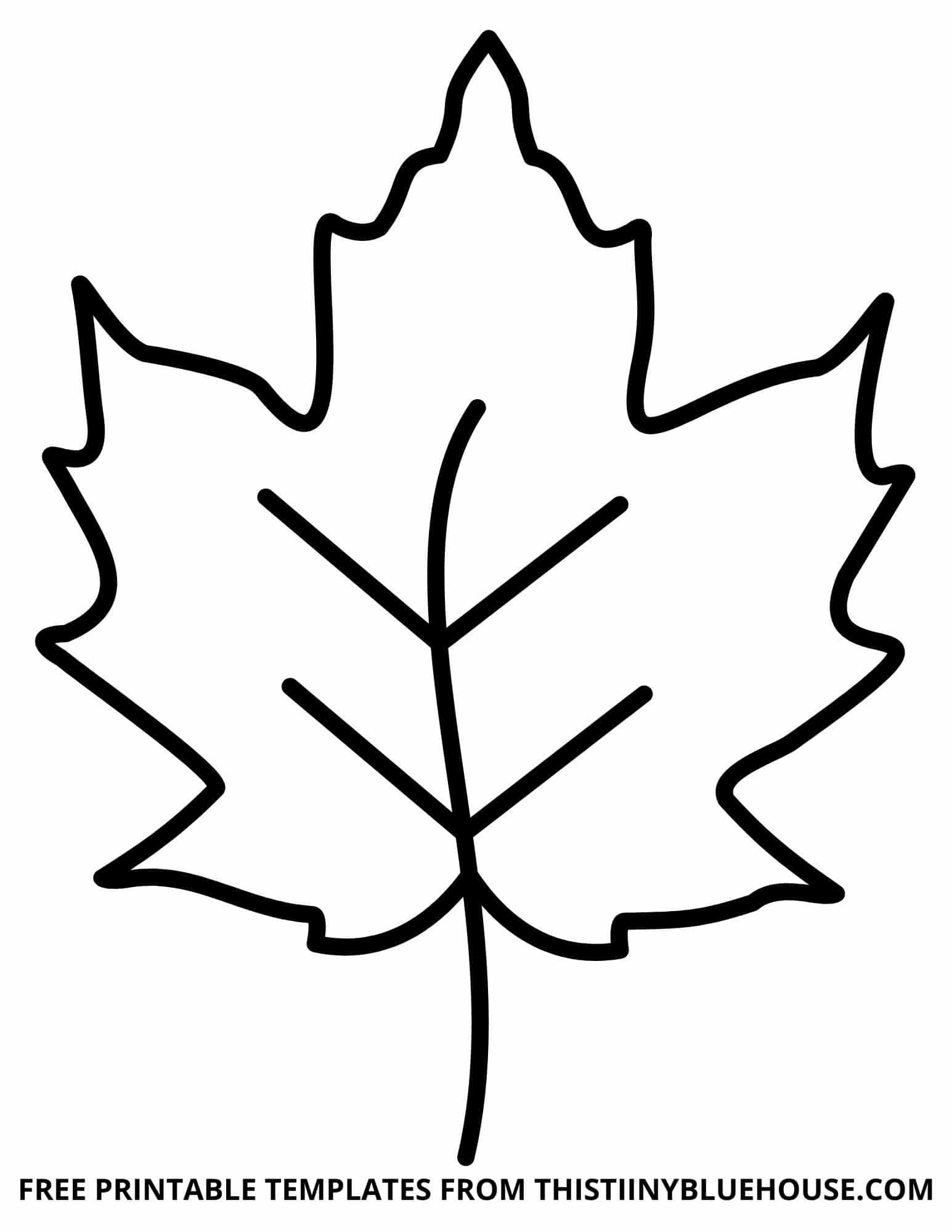 Leaf Cut Out Template Printable