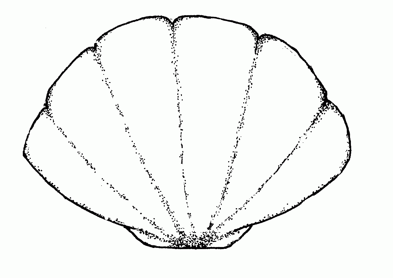 Seashell Template Free Printable