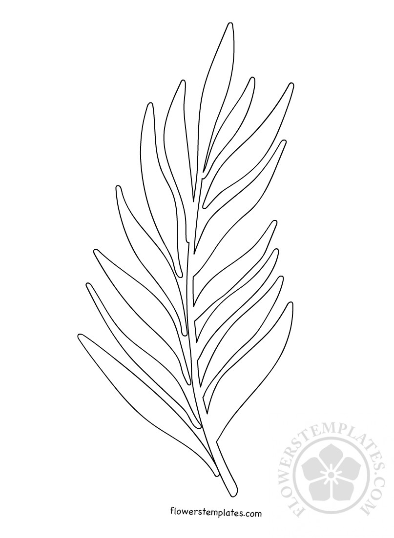 Printable Palm Branch Template