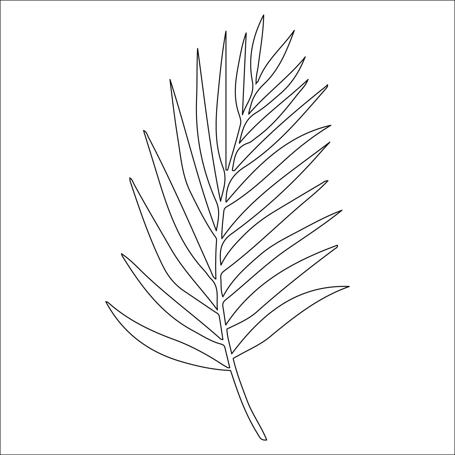 Palm Leaf Template To Print Leaf Template Printable Leaf Template Palm Leaves