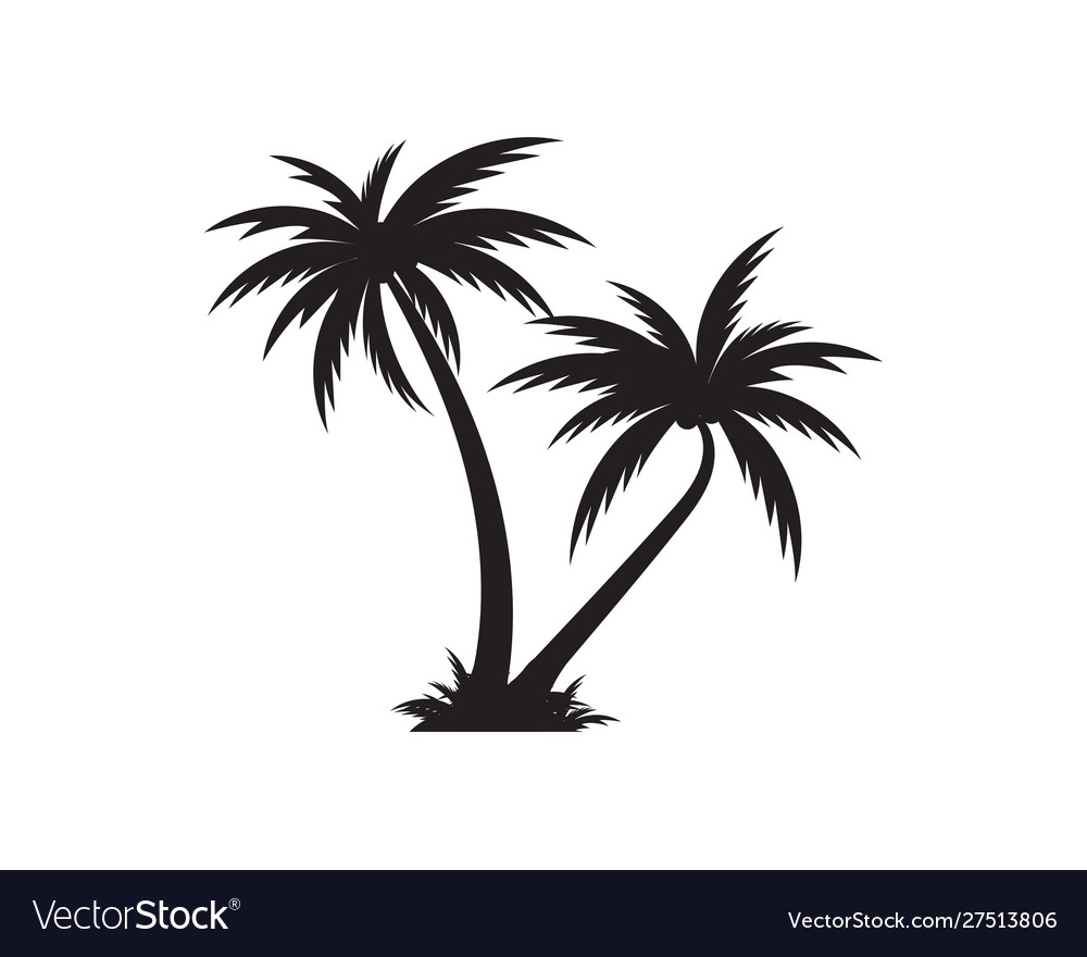 Palm Tree Icon Template Royalty Free Vector Image