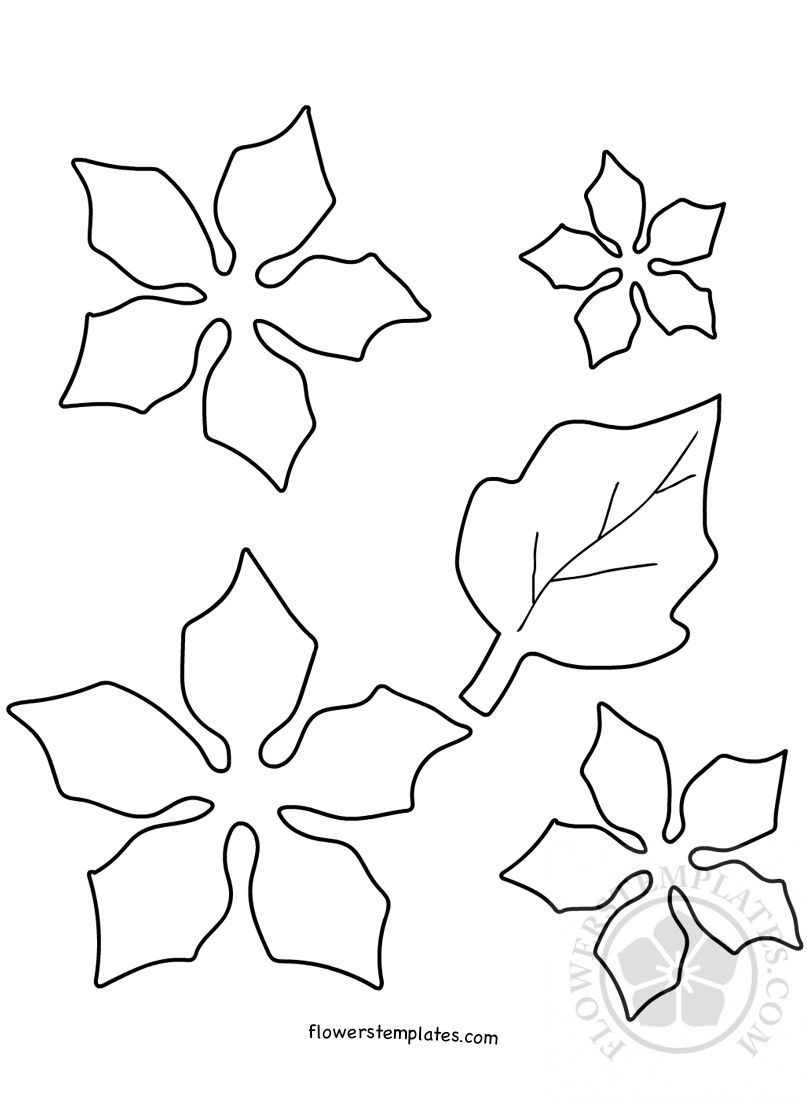 Paper Poinsettia Christmas Flower Template 5D5 Paper Flower Template Flower Template Flower Templates Printable