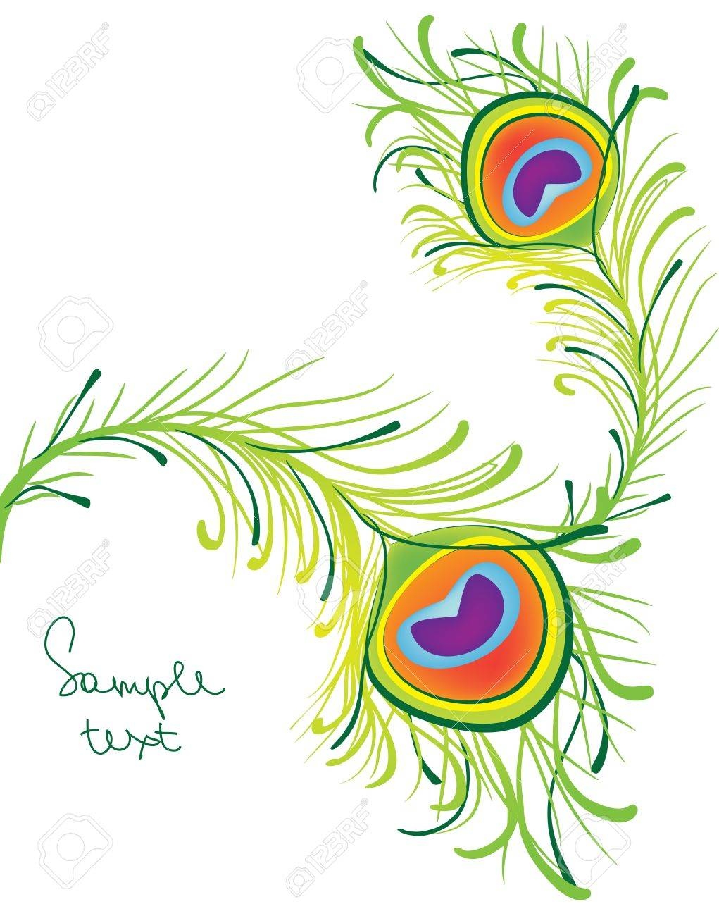 Peacock Feather Template Royalty Free SVG Cliparts Vectors And Stock Illustration Image 21357590 