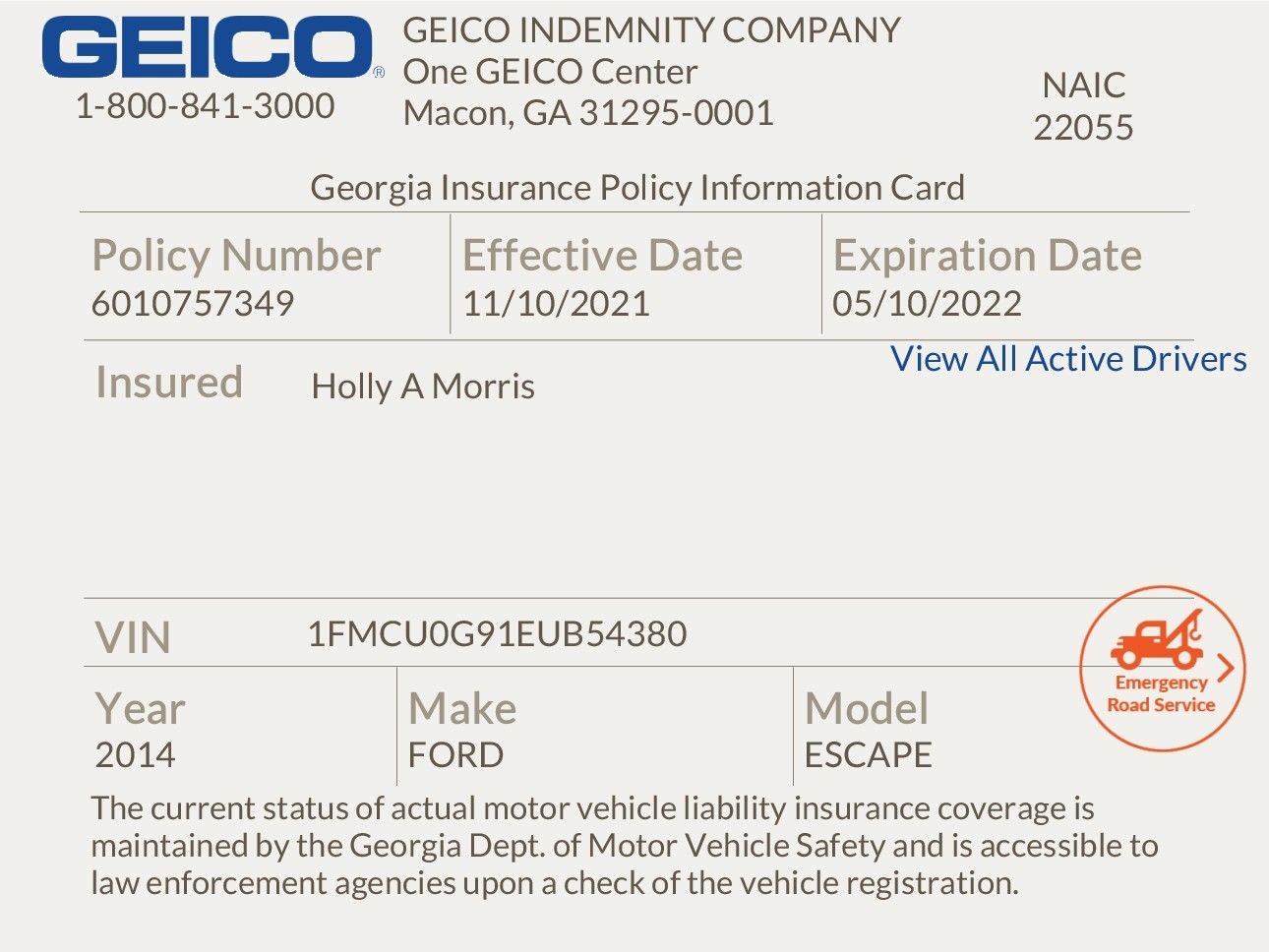 Template Printable Geico Insurance Card