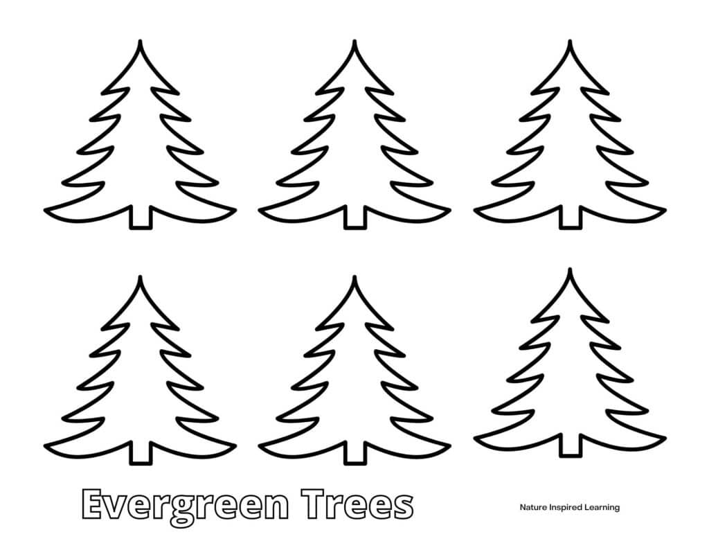 Pine Tree Coloring Pages For Kids Nature Inspired Learning