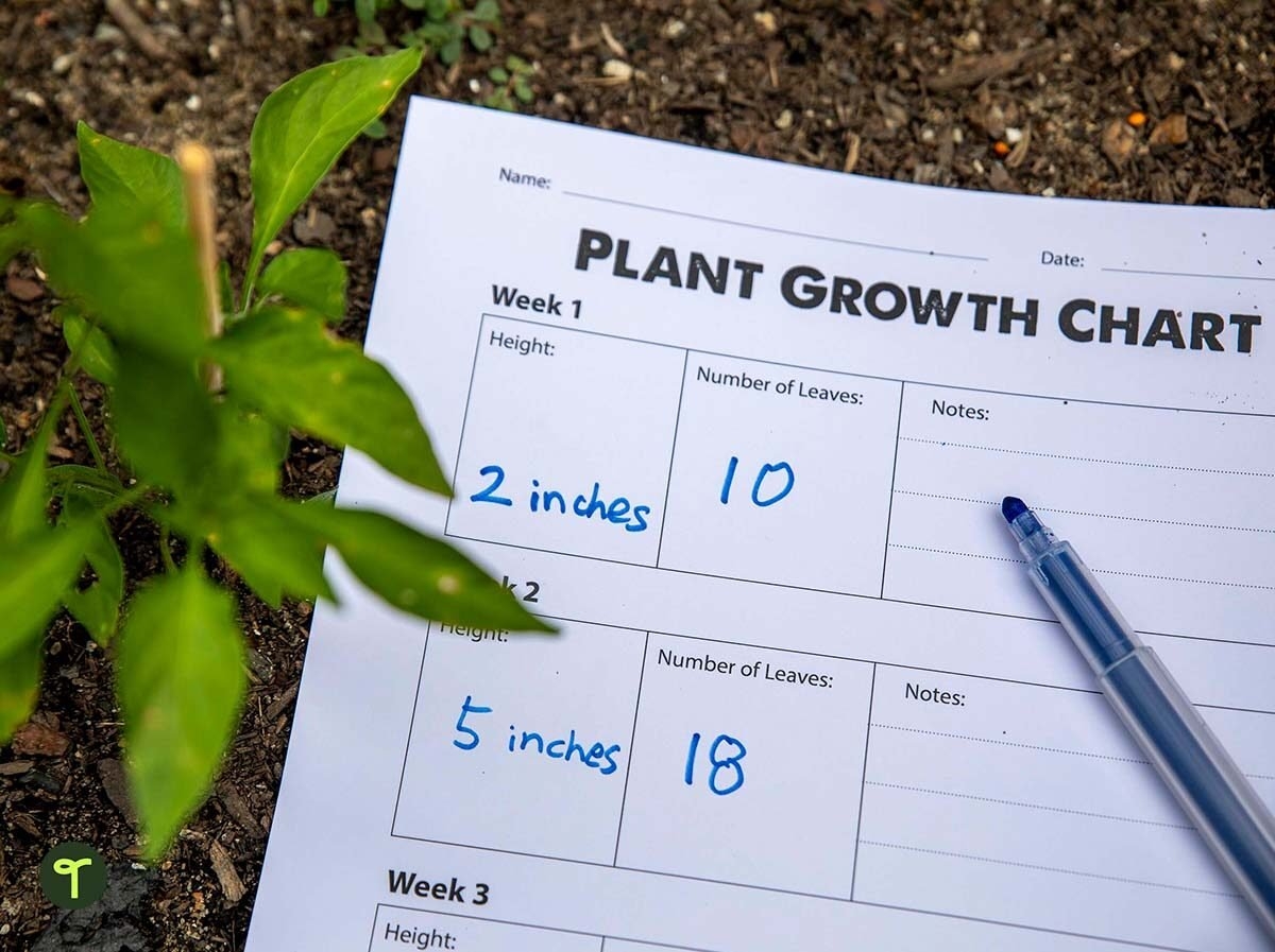 Printable Plant Growth Chart Template