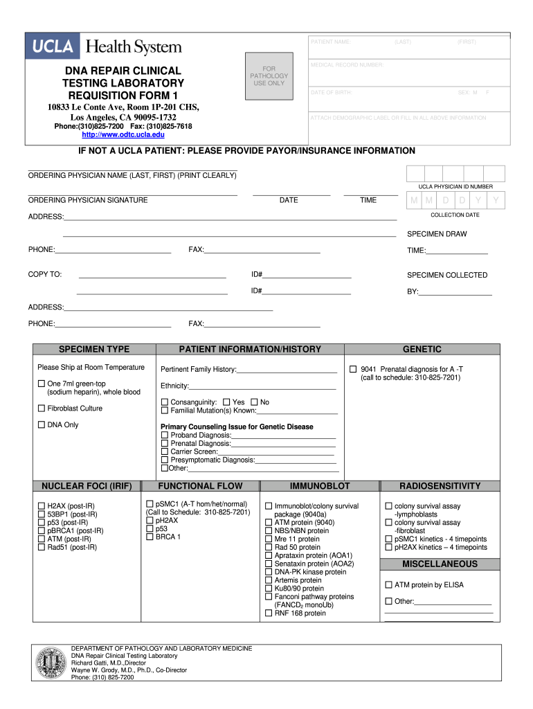 Positive Dna Test Results Paper Pdf Fill Out Sign Online DocHub