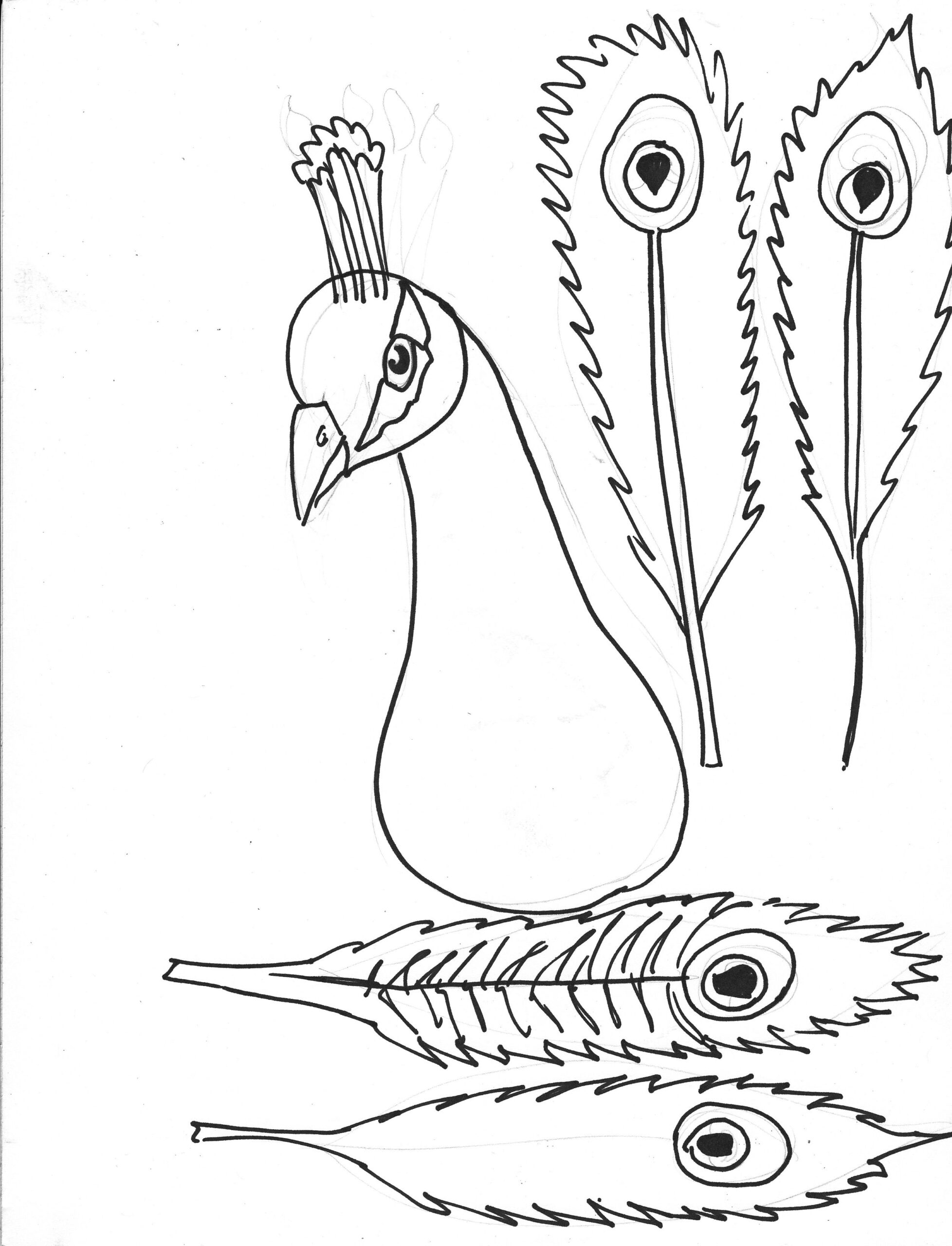 Practice Coloring Techniques From Just Add Art Blogspot Peacock Coloring Pages Feather Template Coloring Pages