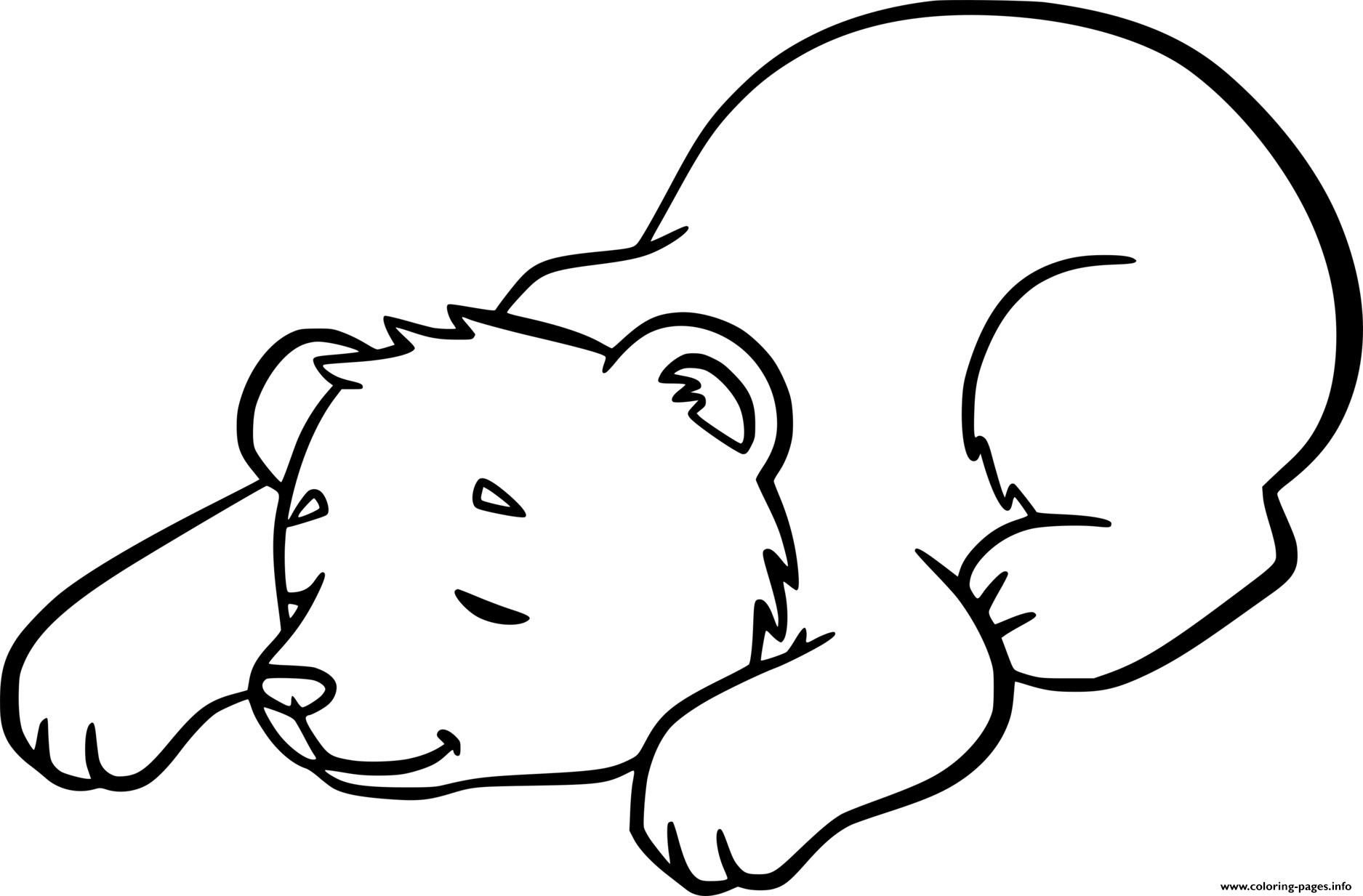 Print Hibernate Baby Bear Coloring Pages Bear Coloring Pages Bear Crafts Preschool Hibernating Bear Craft