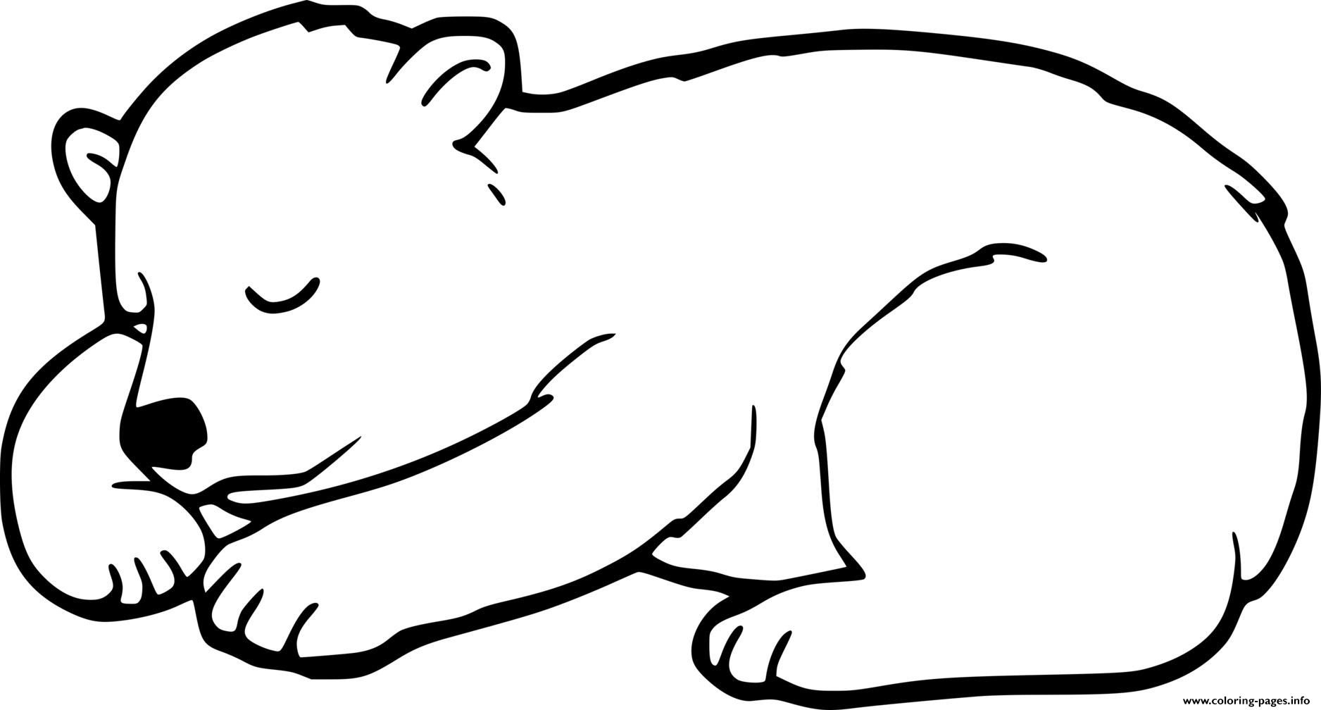 Print Hibernate Baby Bear Coloring Pages Bear Coloring Pages Bear Crafts Preschool Hibernating Bear Craft