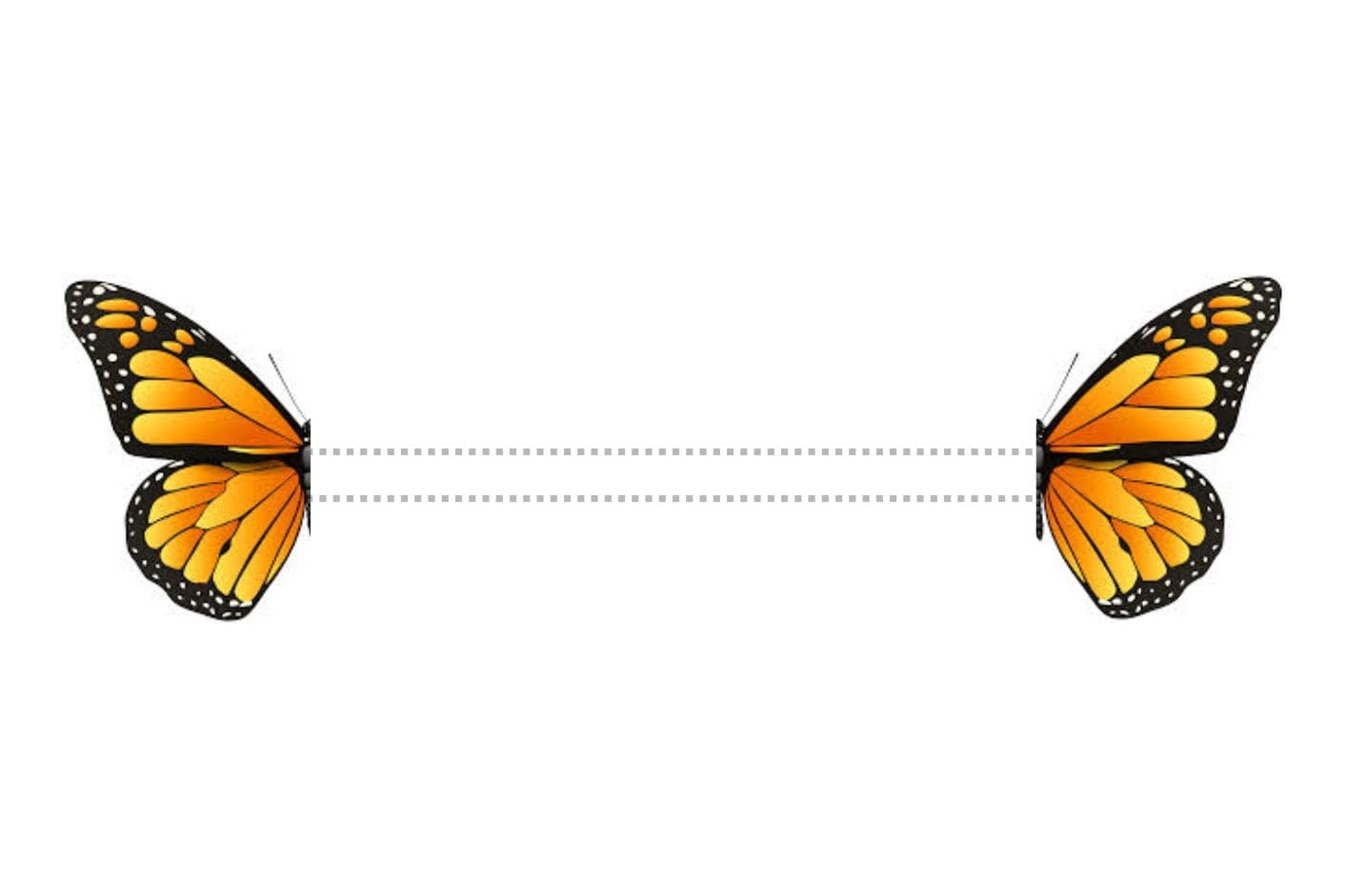 Printable Bookmarks Butterflies 3D Butterfly Bookmark Instant Download Print Bookmark Digital Art Etsy