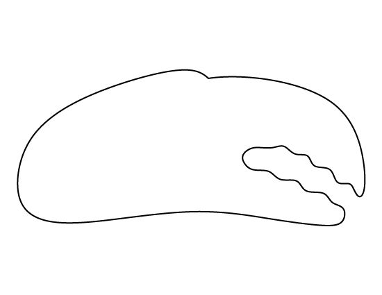 Printable Crab Claw Template Crab Claws Templates Printable Free Printable Patterns