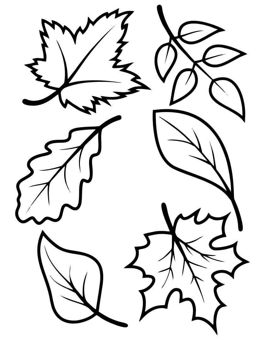 Printable Autumn Leaves Template
