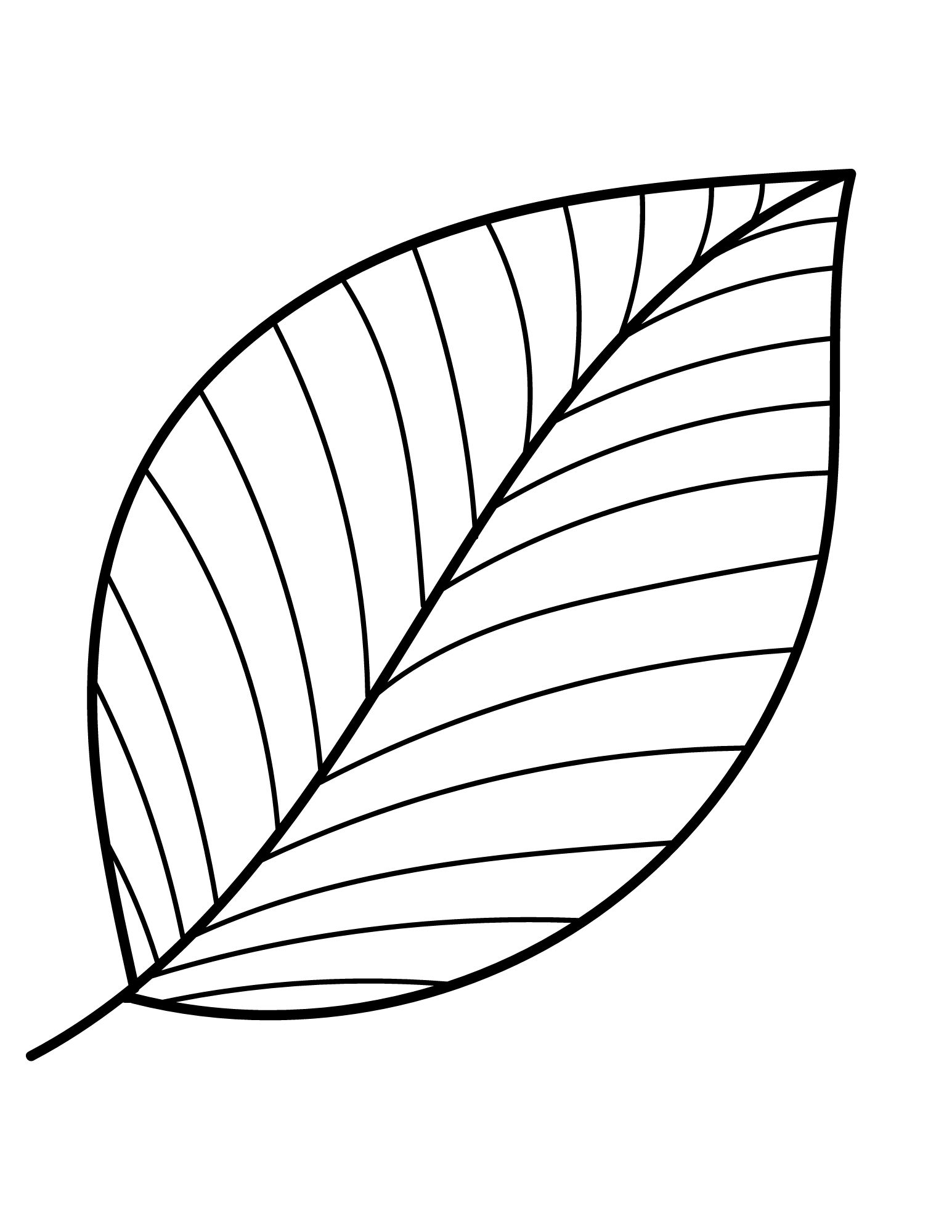 Leaf Cut Out Template Printable