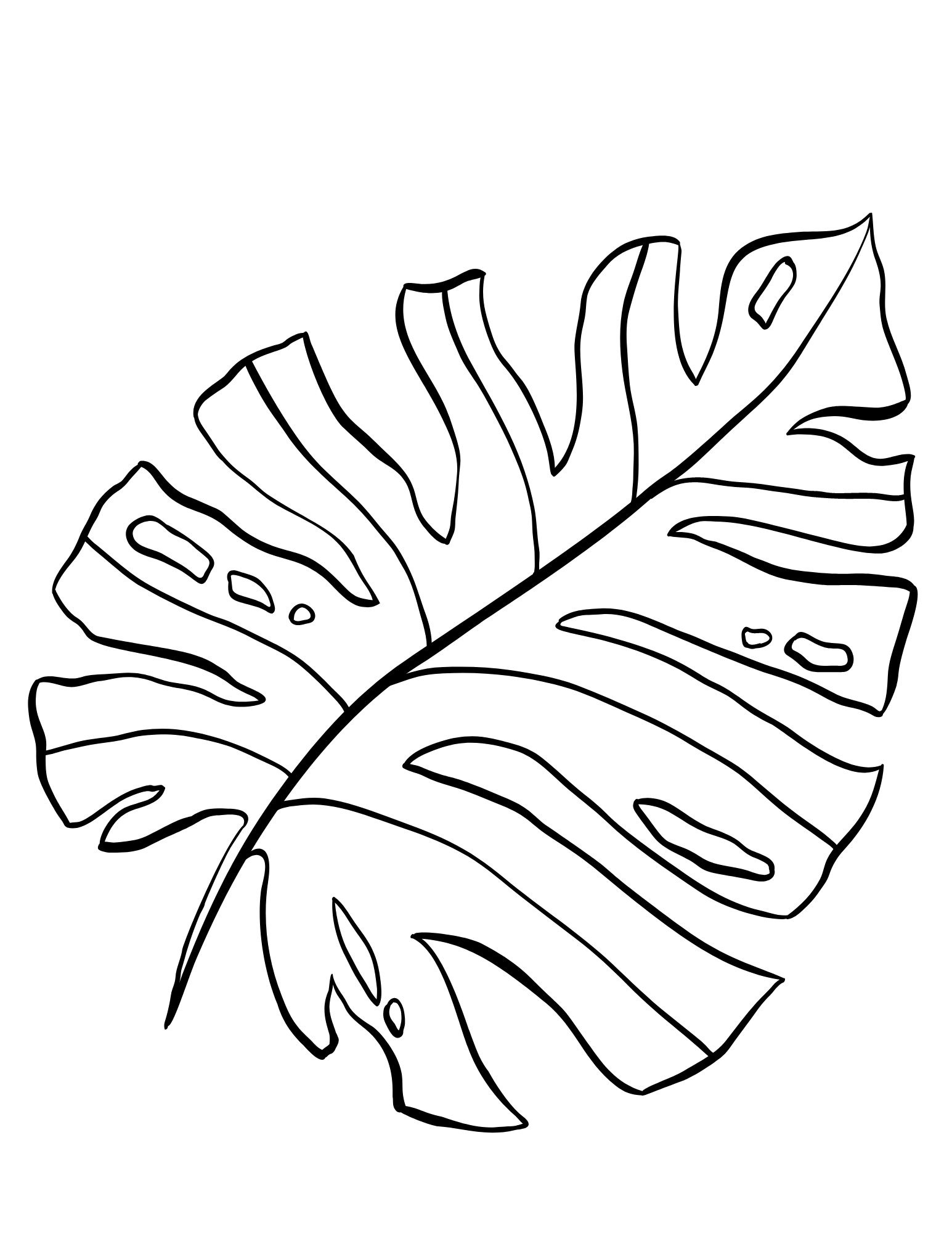 Printable Jungle Leaves Template