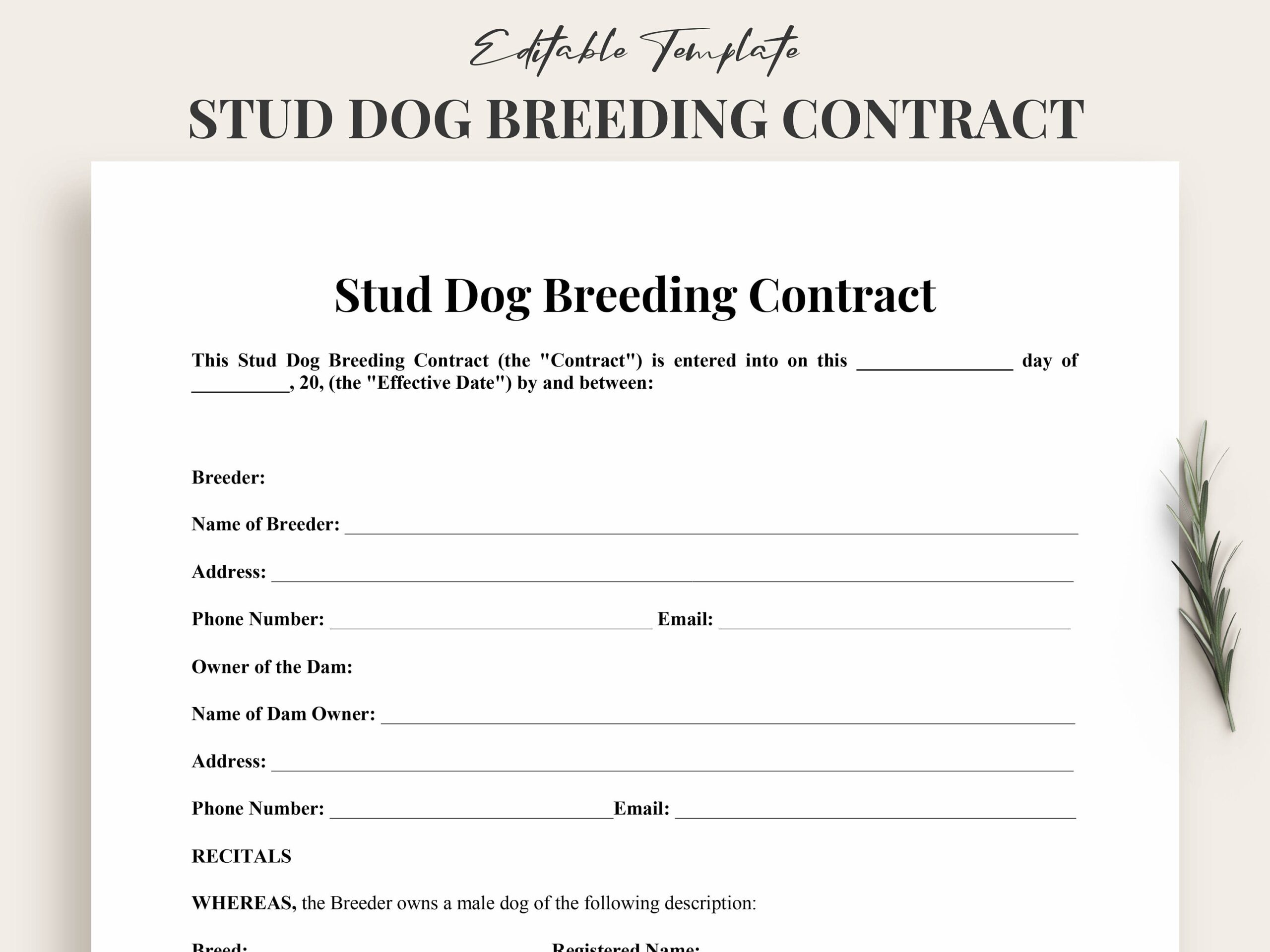 Printable Stud Dog Breeding Contract Template Word Customizable Dog Breeding Agreement Template Instant Download PDF Etsy