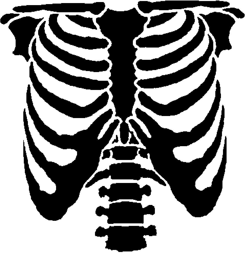 Rib Cage Template Bleach Art Rib Cage Drawing Halloween Skeletons