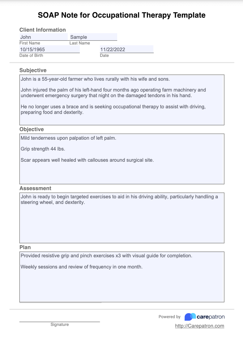 SOAP Notes For Occupational Therapy Template Example Free PDF Download