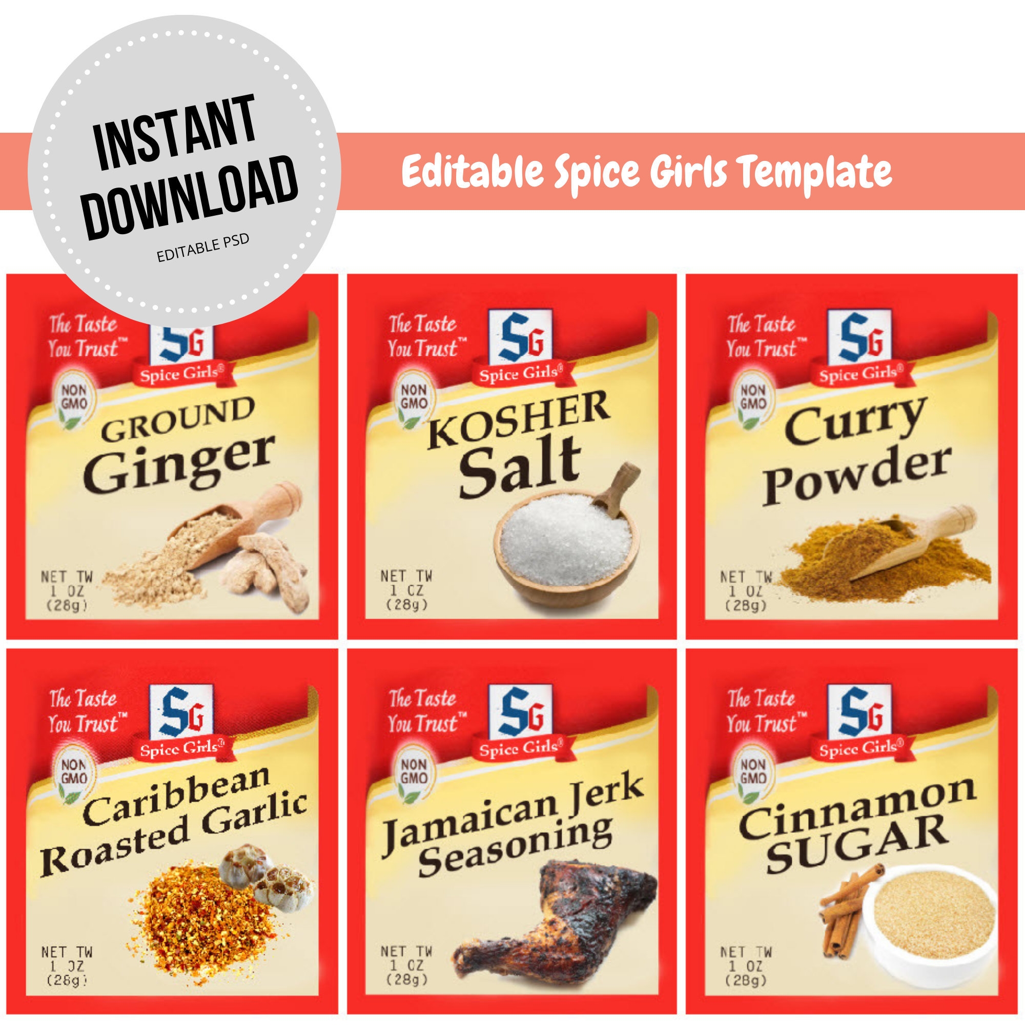 Spice Girls Halloween Costume Template Instant Download Editable Digital File Etsy