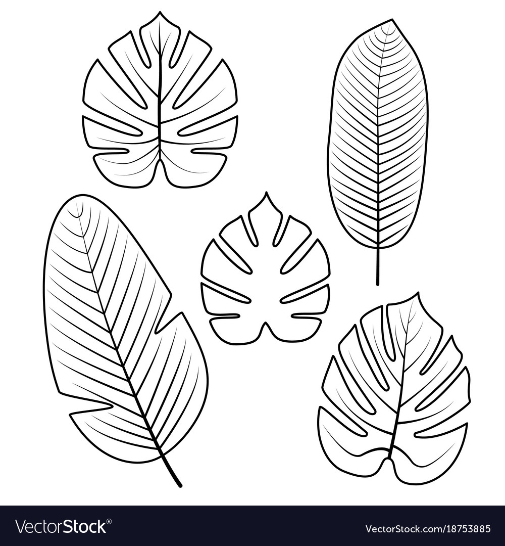 Printable Jungle Leaf Template