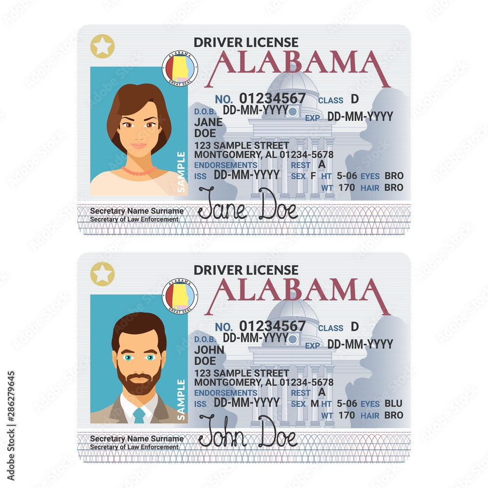 Vector Template Of Sample Driver License Plastic Card For USA Alabama Stock Vector Adobe Stock
