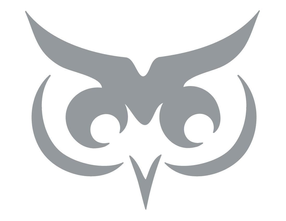 Whimsical Owl Stencil Template