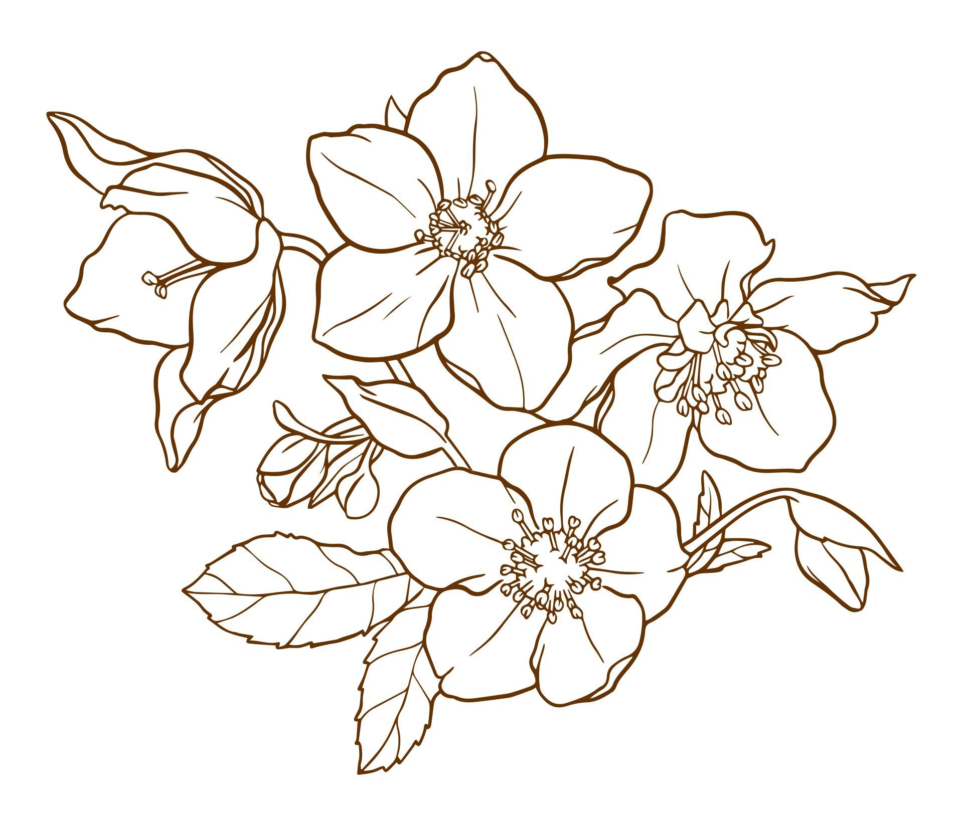 Wood Burning Tracing Patterns Flower Pattern Stencils