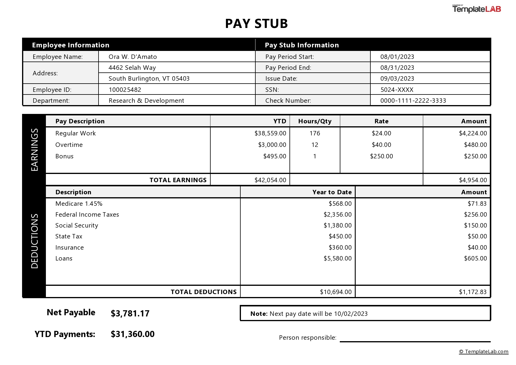 Sample Pay Stub For 1099 Employee