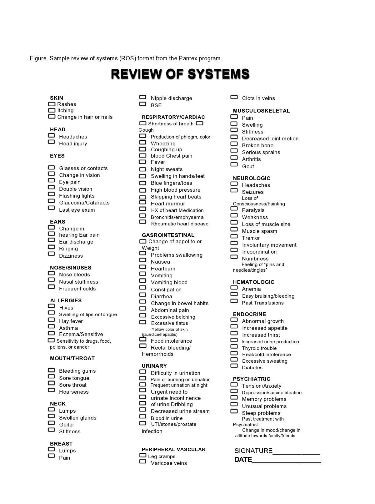 46 Free Review Of Systems Templates Checklist TemplateLab