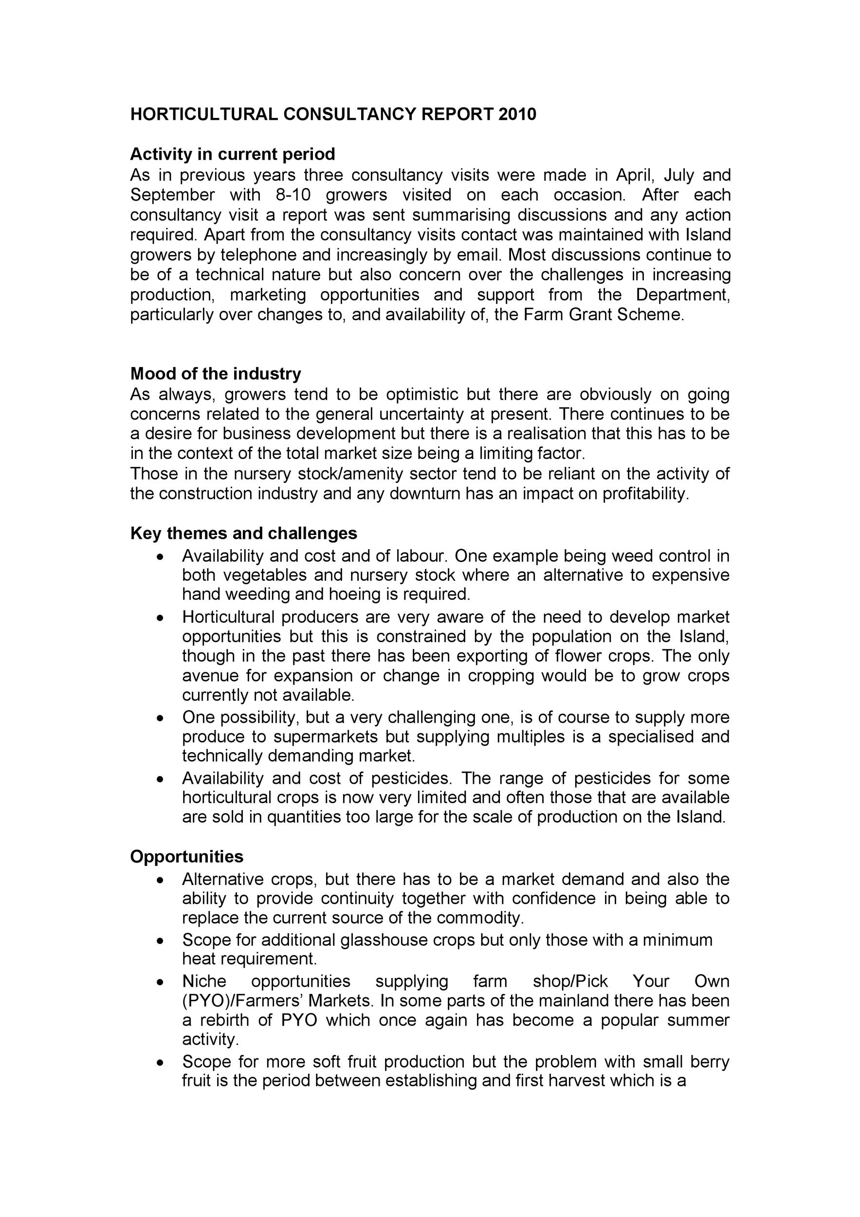 Consultant Report To Client Pdf