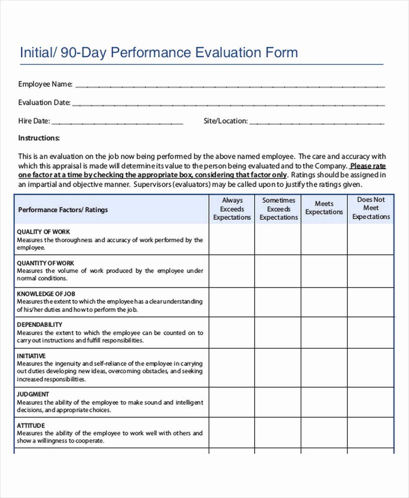 90 Day Employee Review Form
