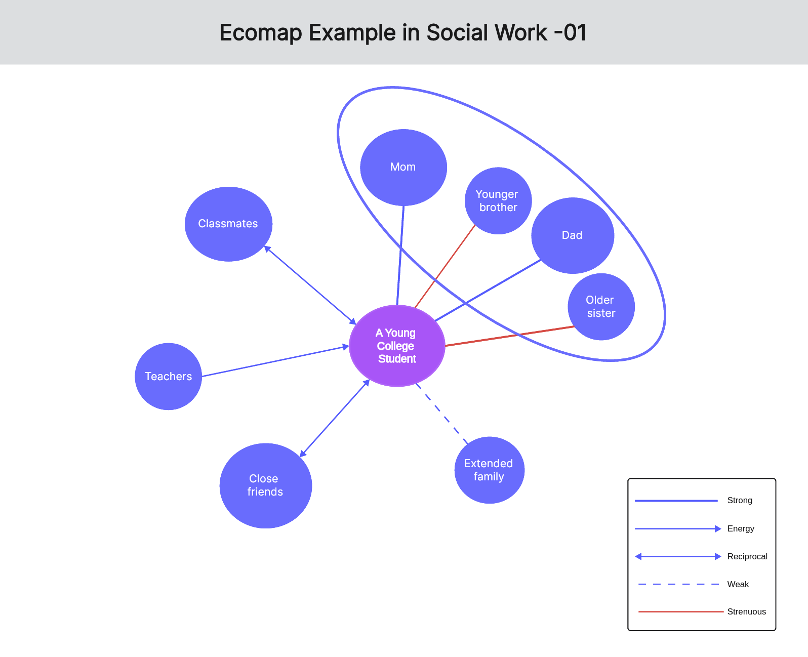 All You Need To Know About Ecomap In Social Work with Examples 