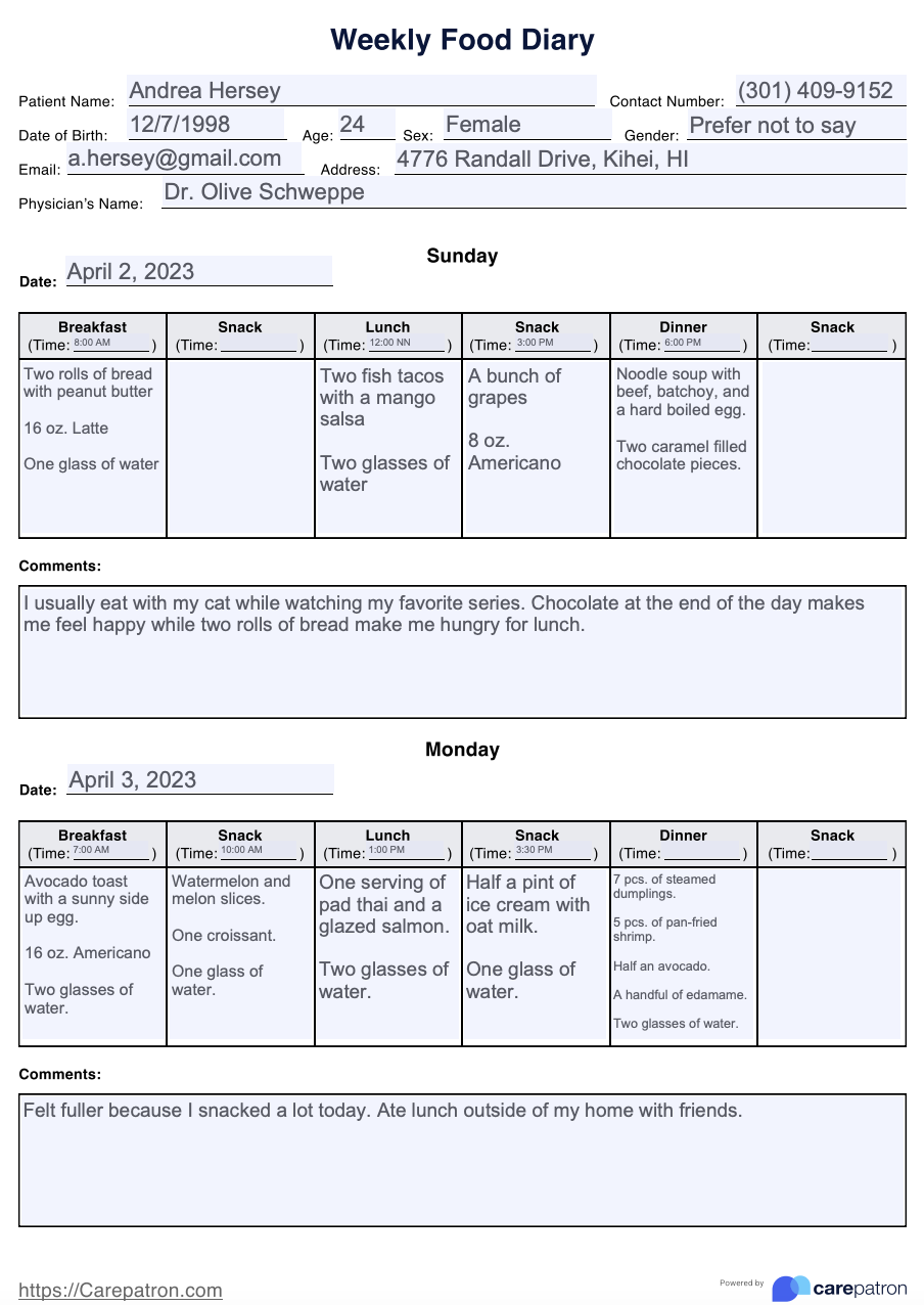 Daily Food Log Example With Answers