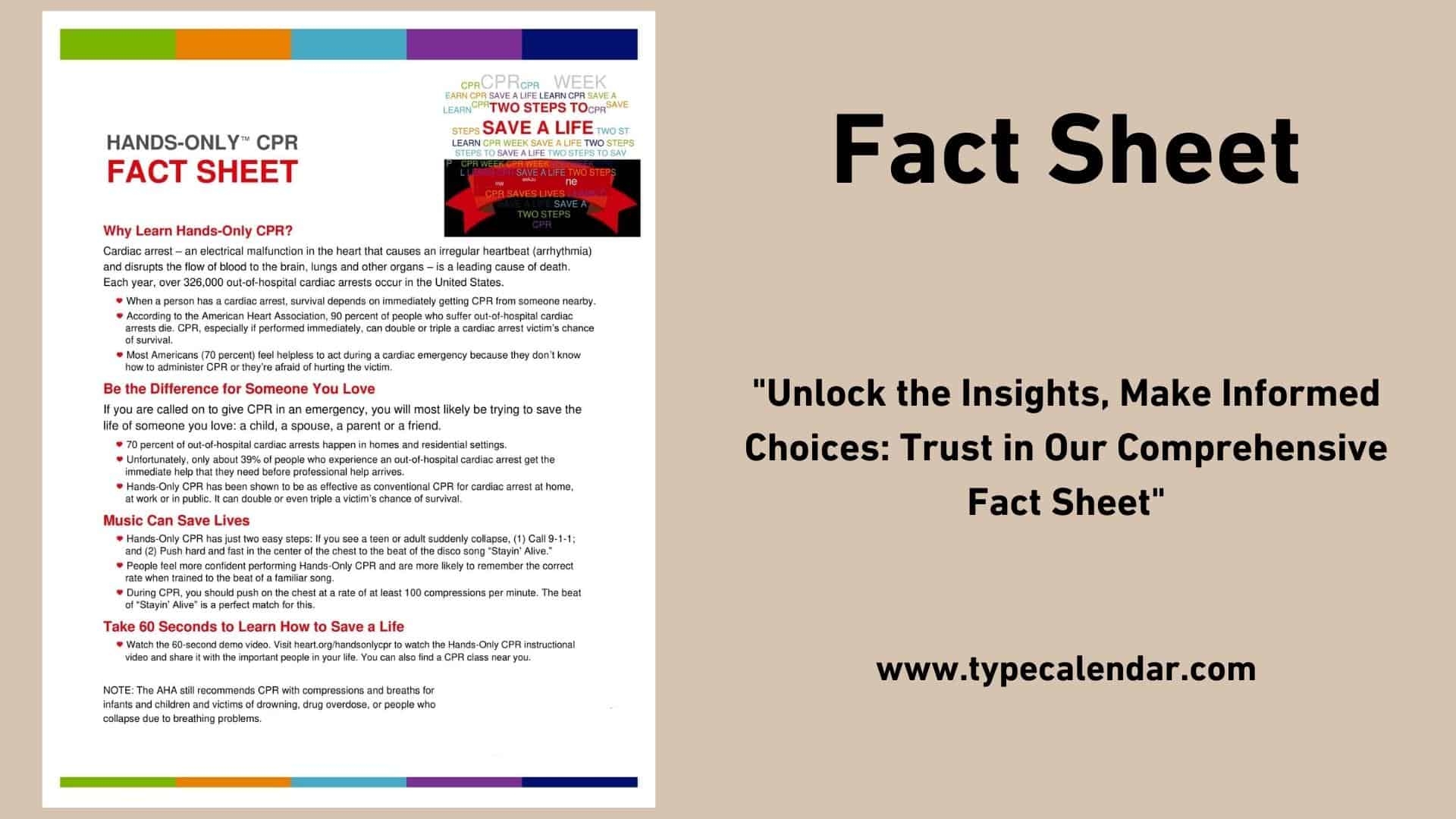 Free Printable Fact Sheet Templates Word PDF Excel 