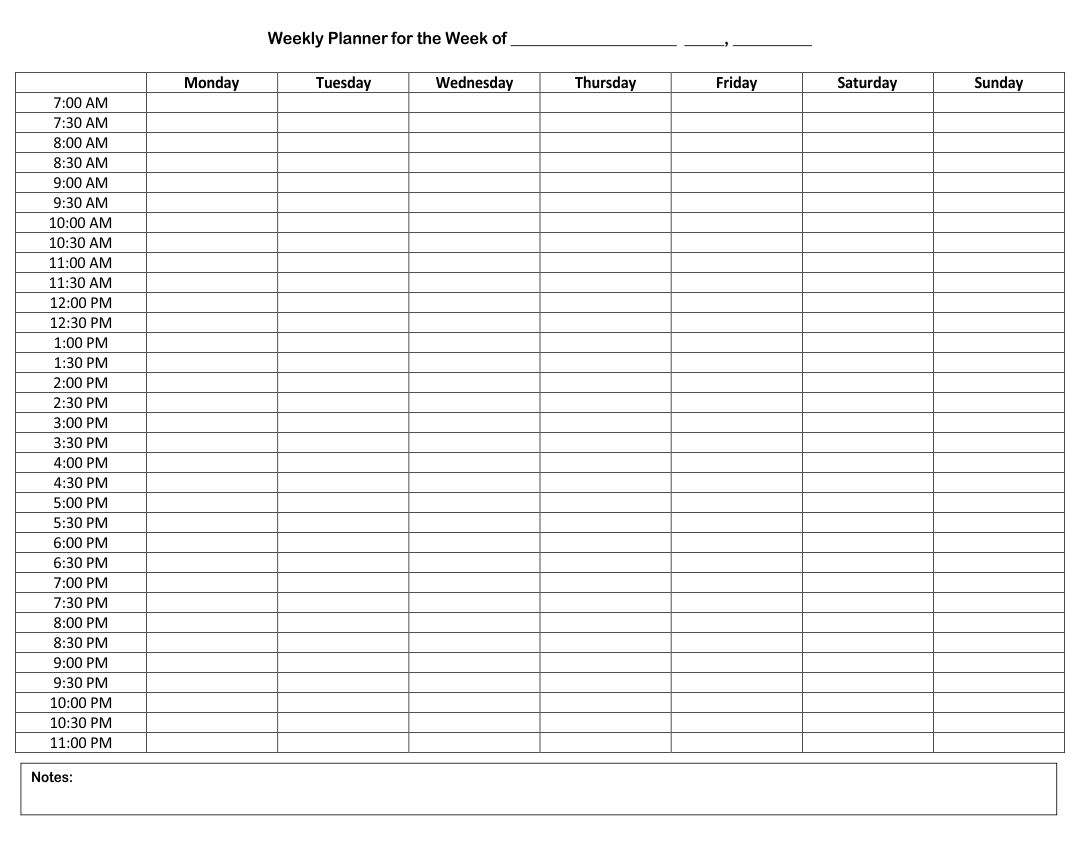 Blank Hour By Hour Schedule