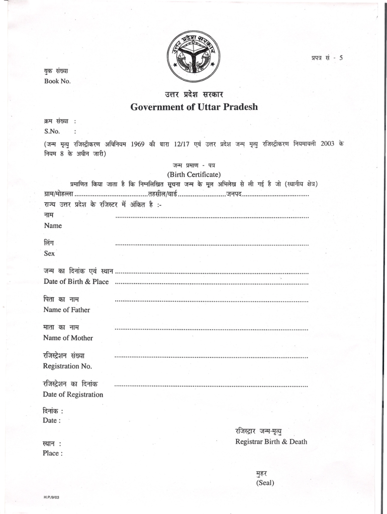 Up Birth Certificate Download Pdf Fill Out Sign Online DocHub