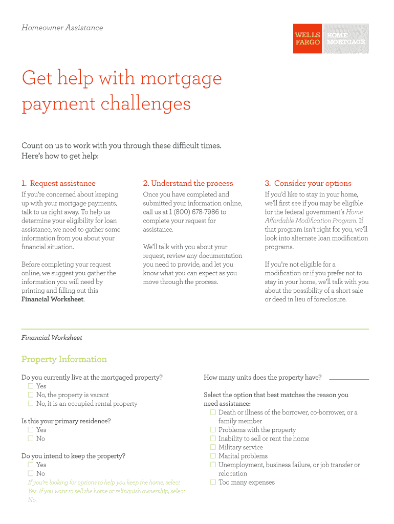 Wells Fargo Bank Statement Generator