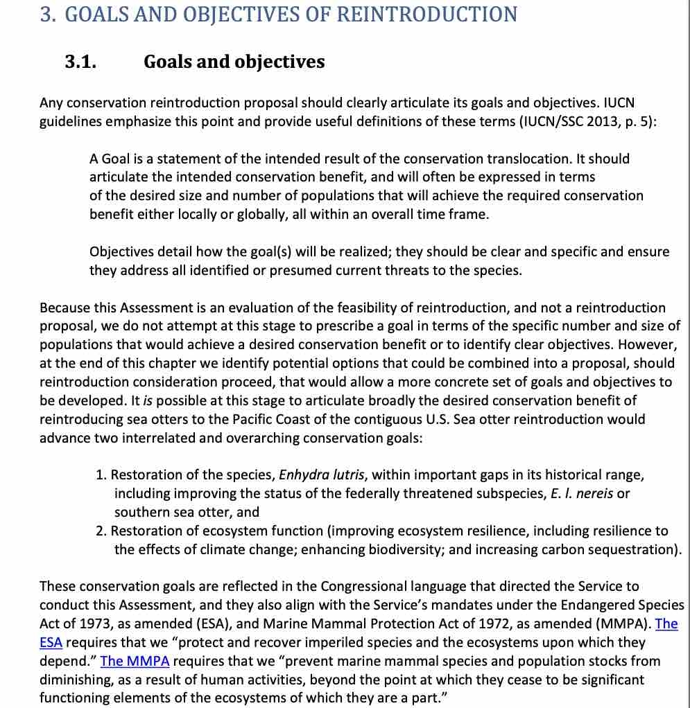 Why Feasibility Studies Matter With Examples 